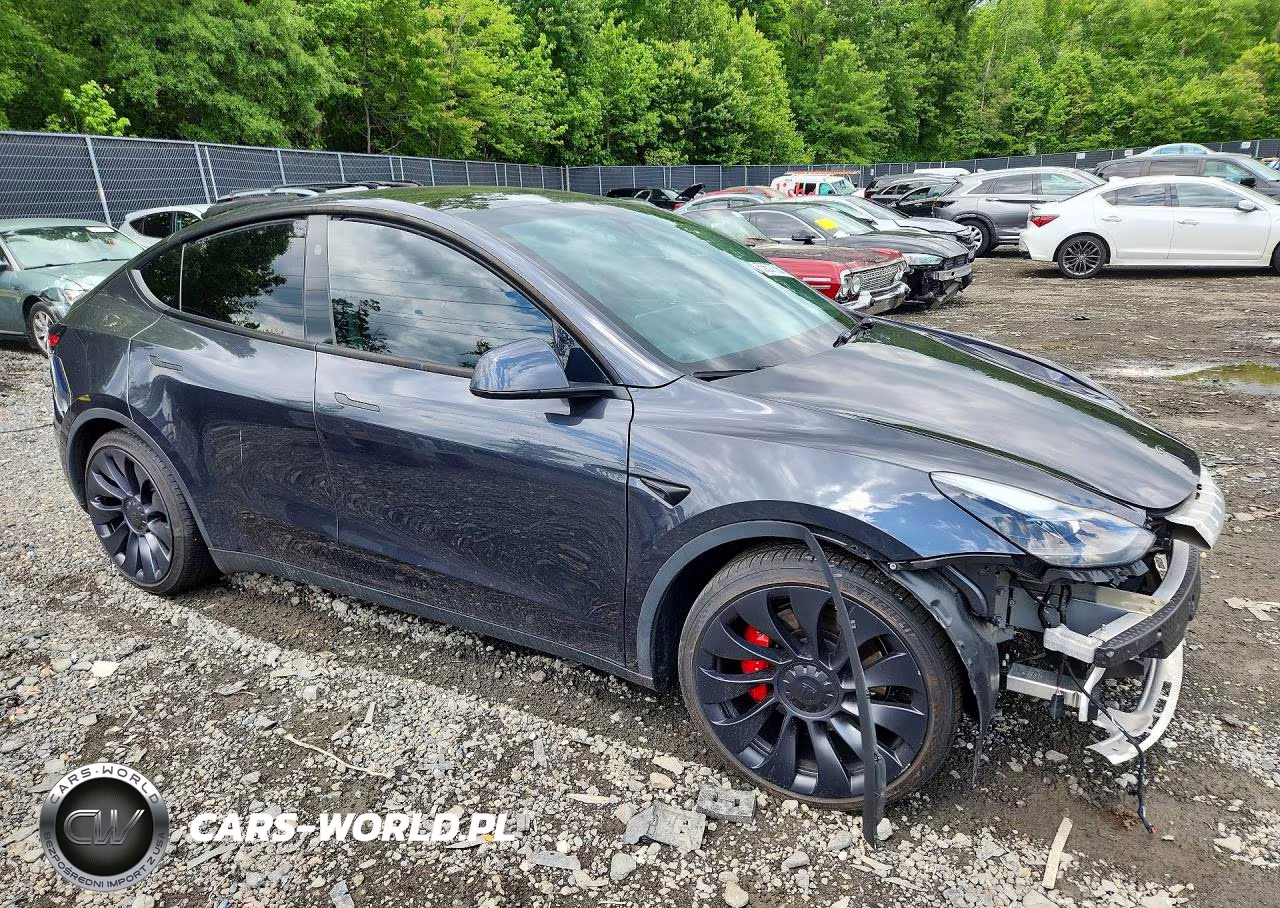 2024 Tesla Model Y VIN:7SAYGDEF7RF043335 - 4
