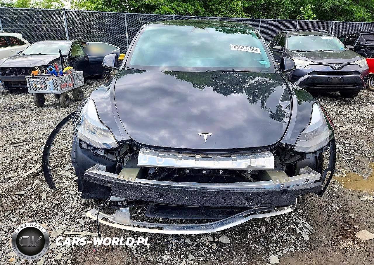 2024 Tesla Model Y VIN:7SAYGDEF7RF043335 - 5
