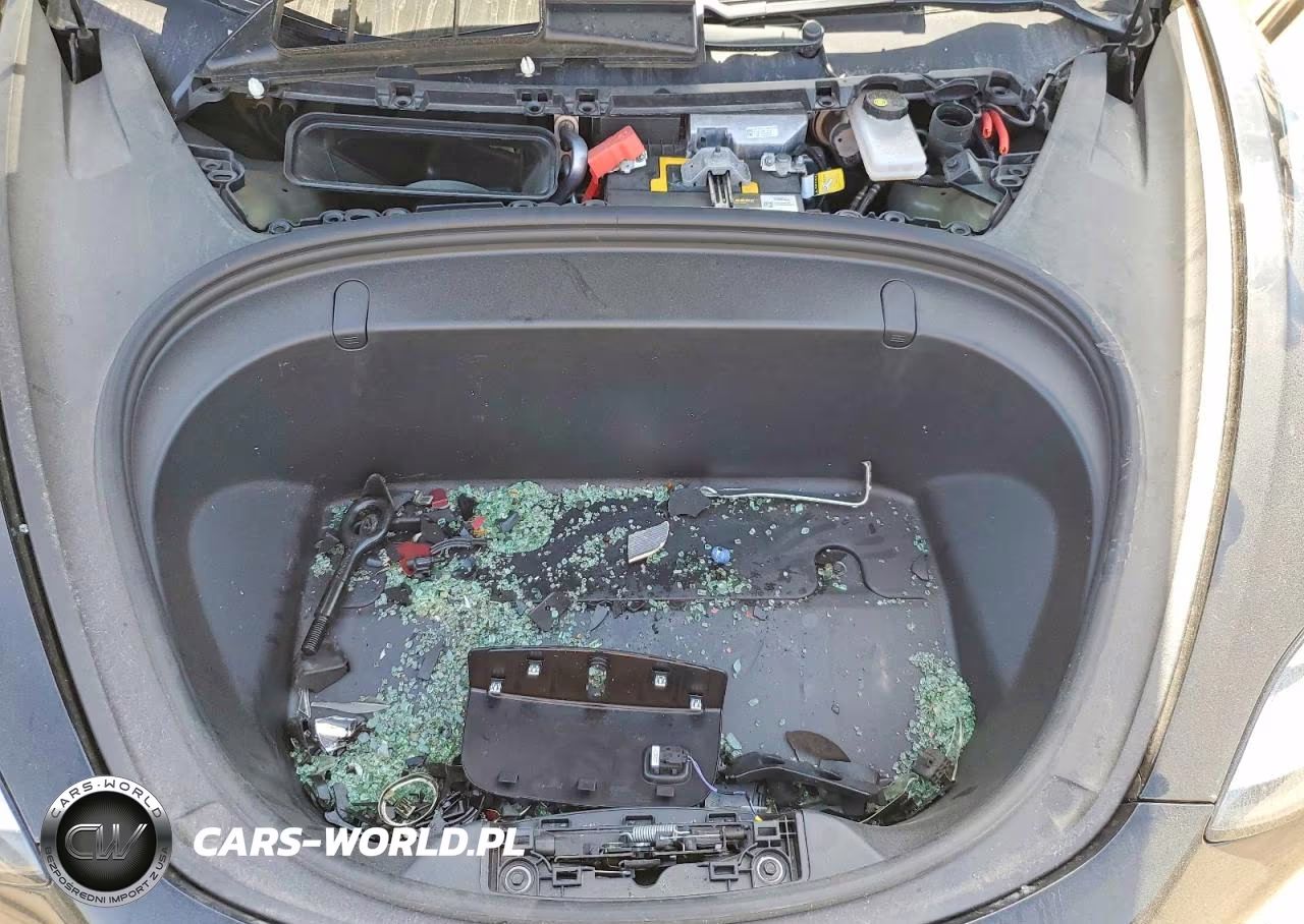 2019 Tesla Model 3 VIN:5YJ3E1EA1KF395364 - 11