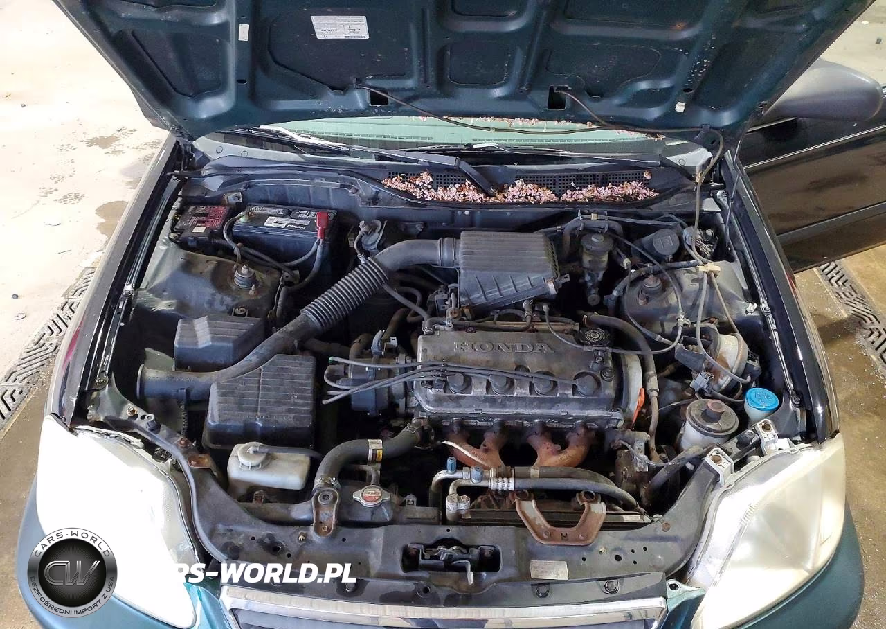 1999 Honda Civic Lx VIN:2HGEJ6673XH555901 - 11