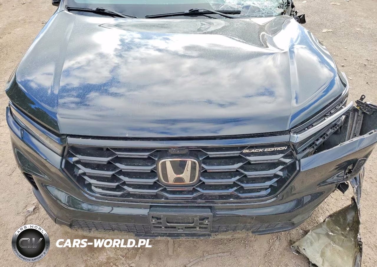 2025 Honda Pilot Black VIN:5FNYG1H94SB121724 - 12