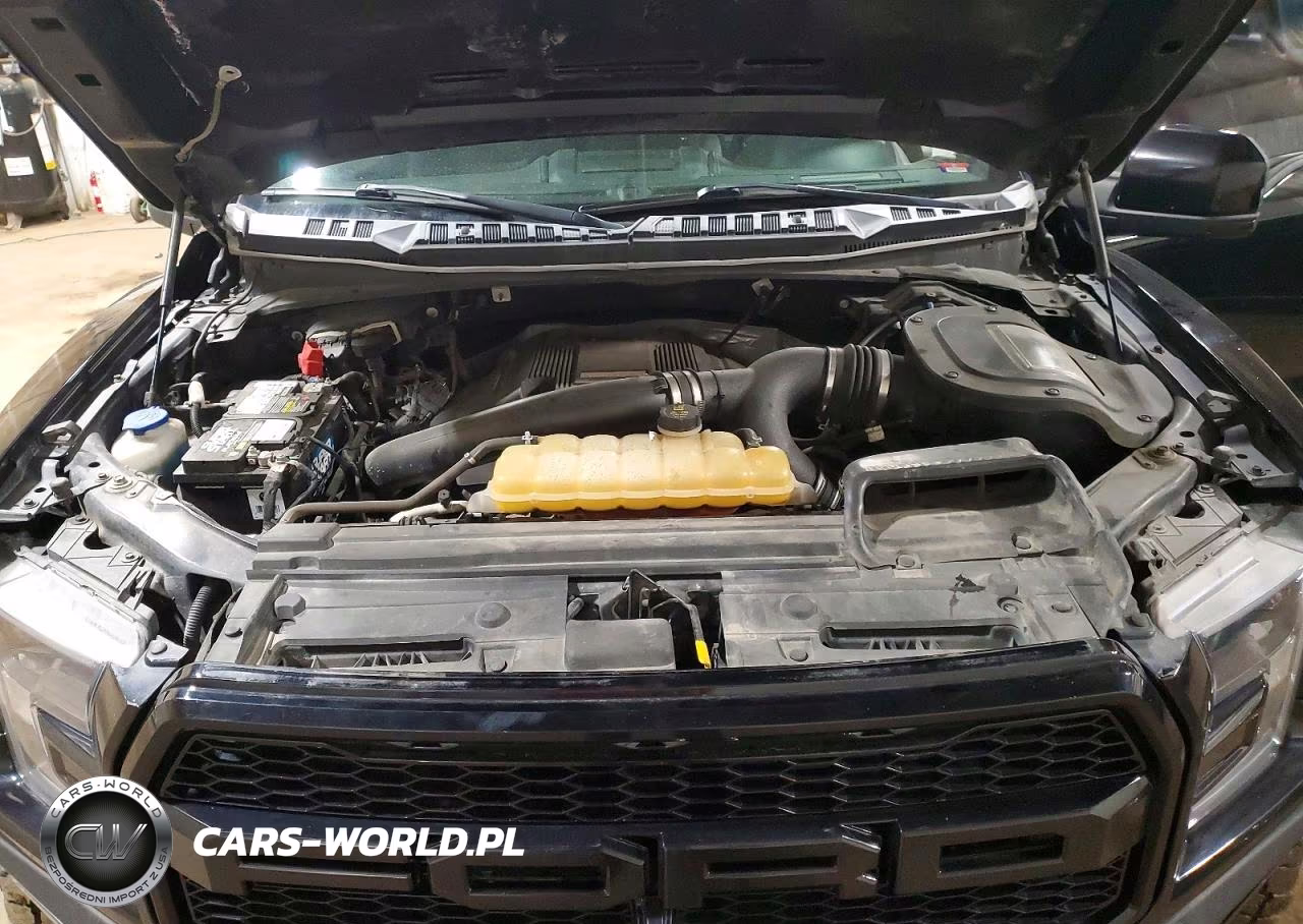 2018 Ford F150 Raptor VIN:1FTFW1RG0JFB85034 - 11