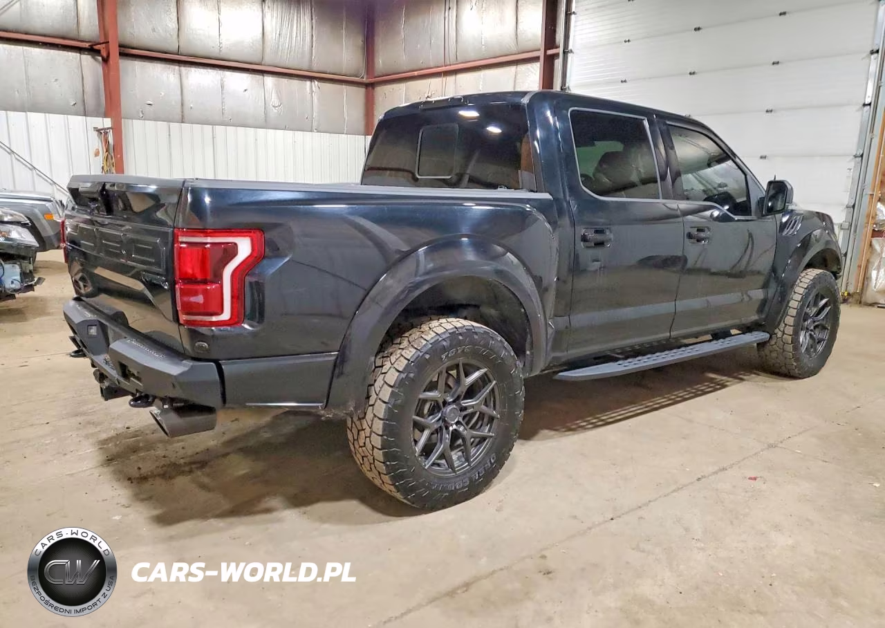 2018 Ford F150 Raptor VIN:1FTFW1RG0JFB85034 - 3