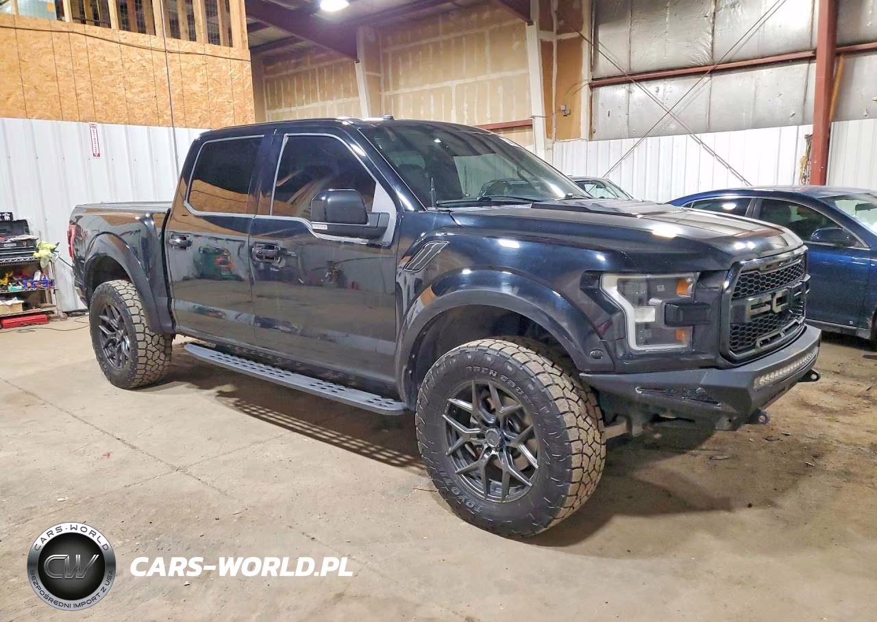 2018 Ford F150 Raptor VIN:1FTFW1RG0JFB85034 - 4