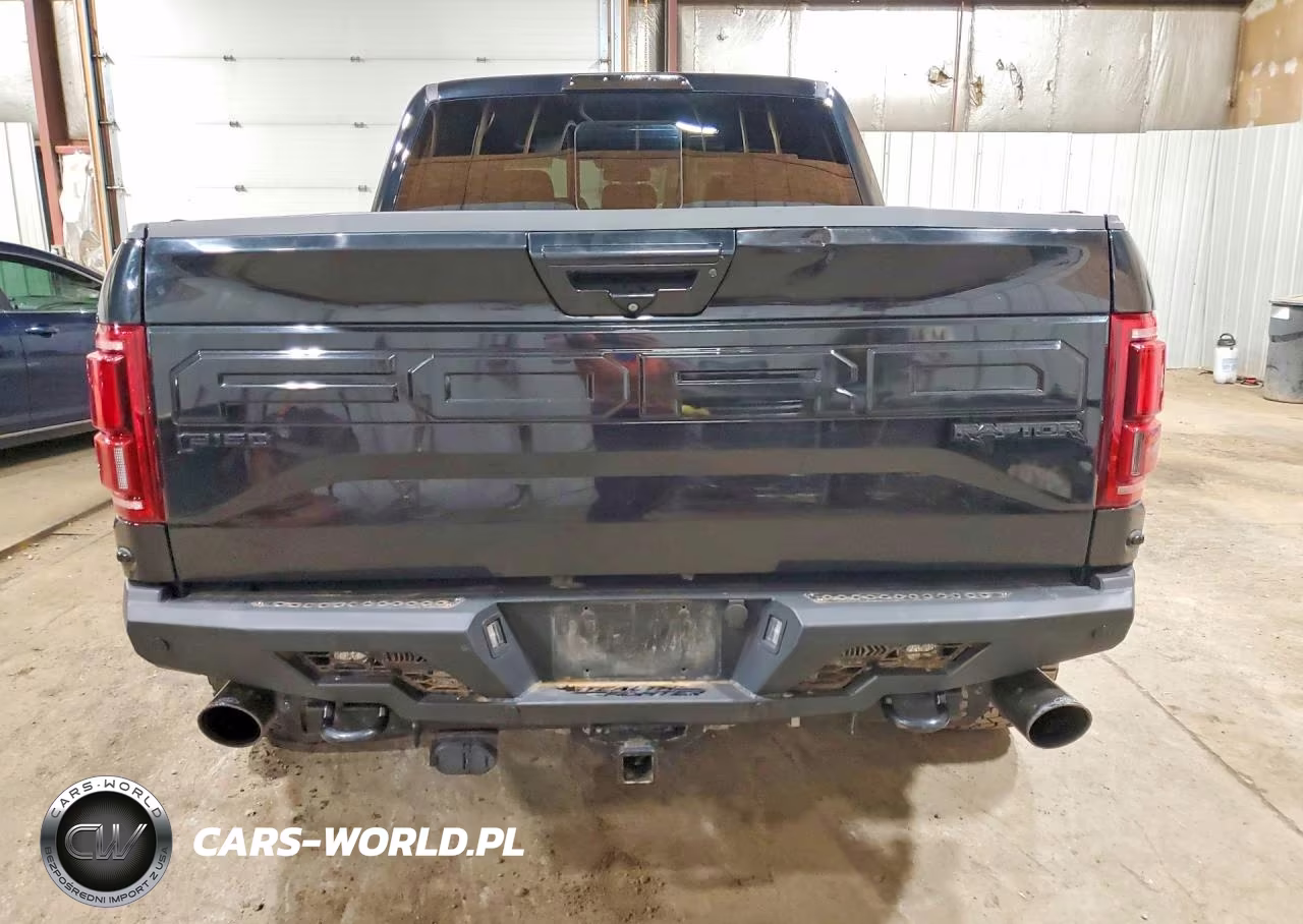 2018 Ford F150 Raptor VIN:1FTFW1RG0JFB85034 - 6