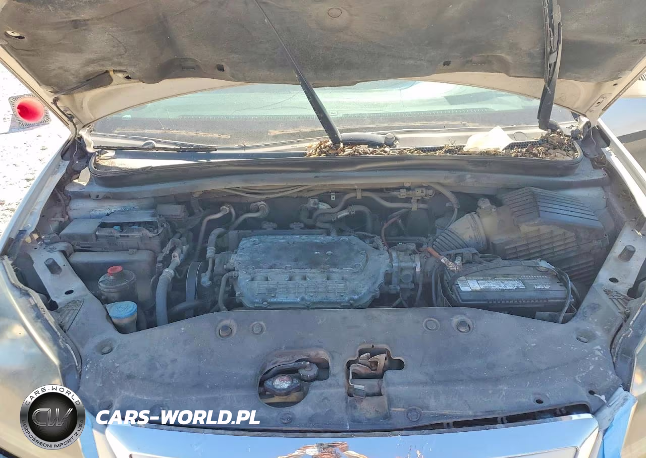 2007 Honda Odyssey Exl VIN:5FNRL38737B449671 - 12