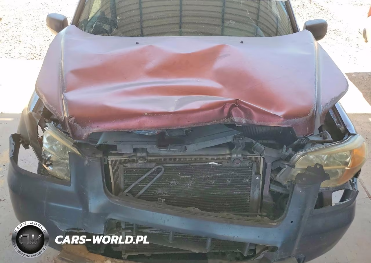 2007 Honda Pilot Lx VIN:5FNYF28137B036786 - 12
