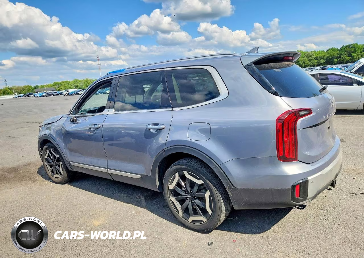 2024 Kia Telluride S VIN:5XYP6DGC6RG502698 - 2