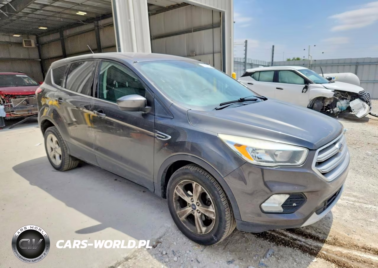 2017 Ford Escape Se VIN:1FMCU0GDXHUC94324 - 4