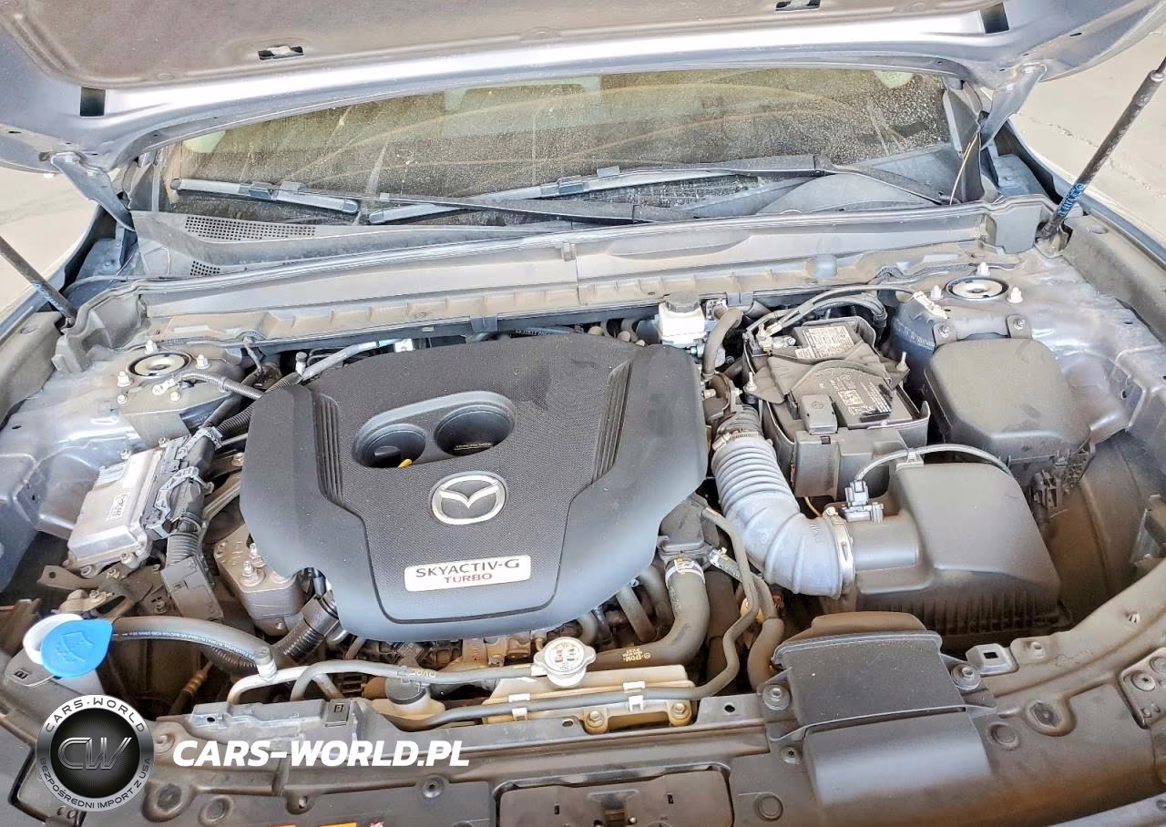 2010 Mazda 3 S VIN:JM1BL1S52A1316199 - 11