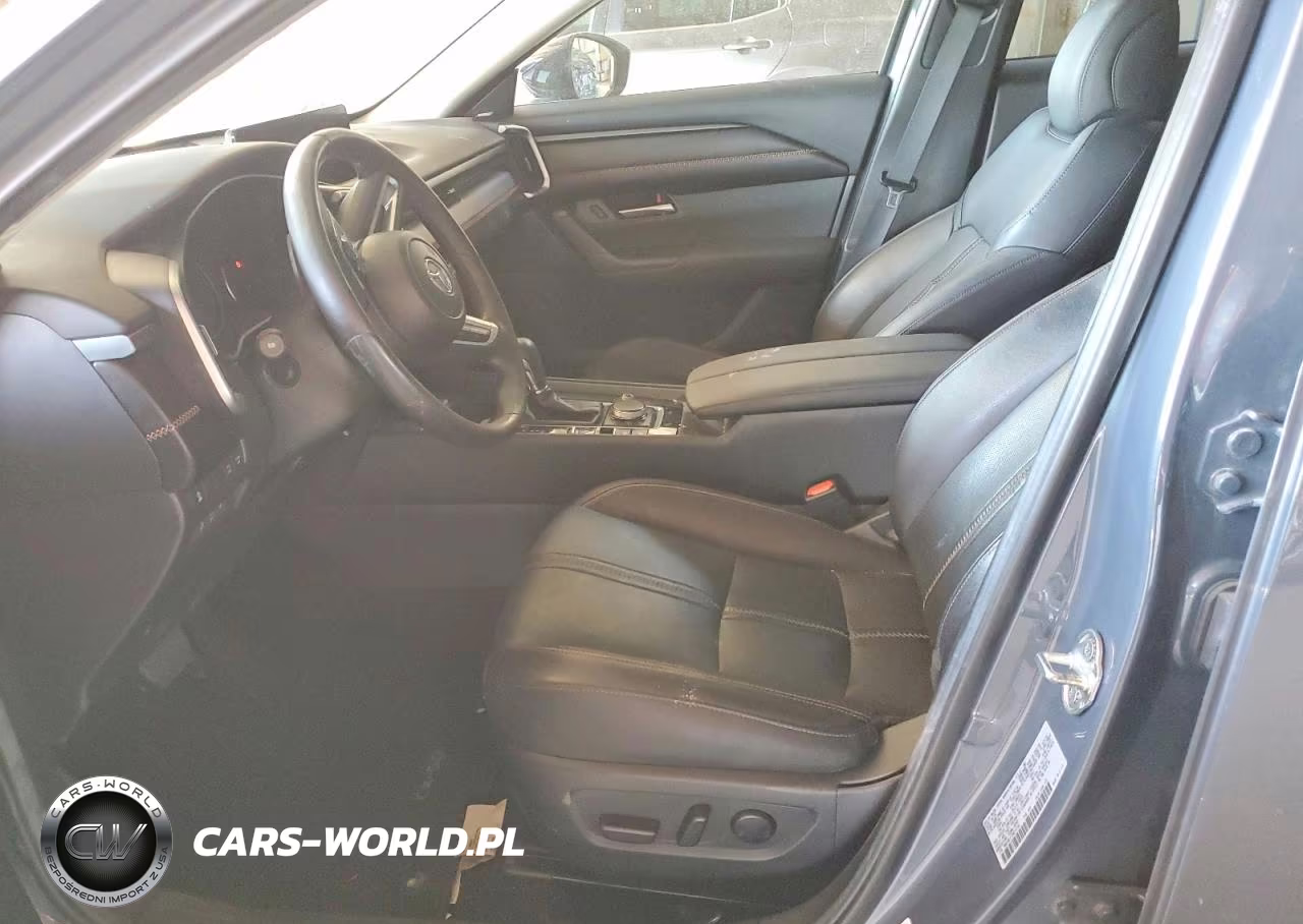 2010 Mazda 3 S VIN:JM1BL1S52A1316199 - 7