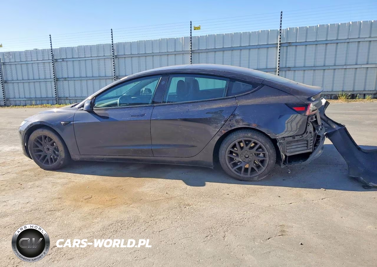 2024 Tesla Model 3 VIN:5YJ3E1EA2RF731095 - 2