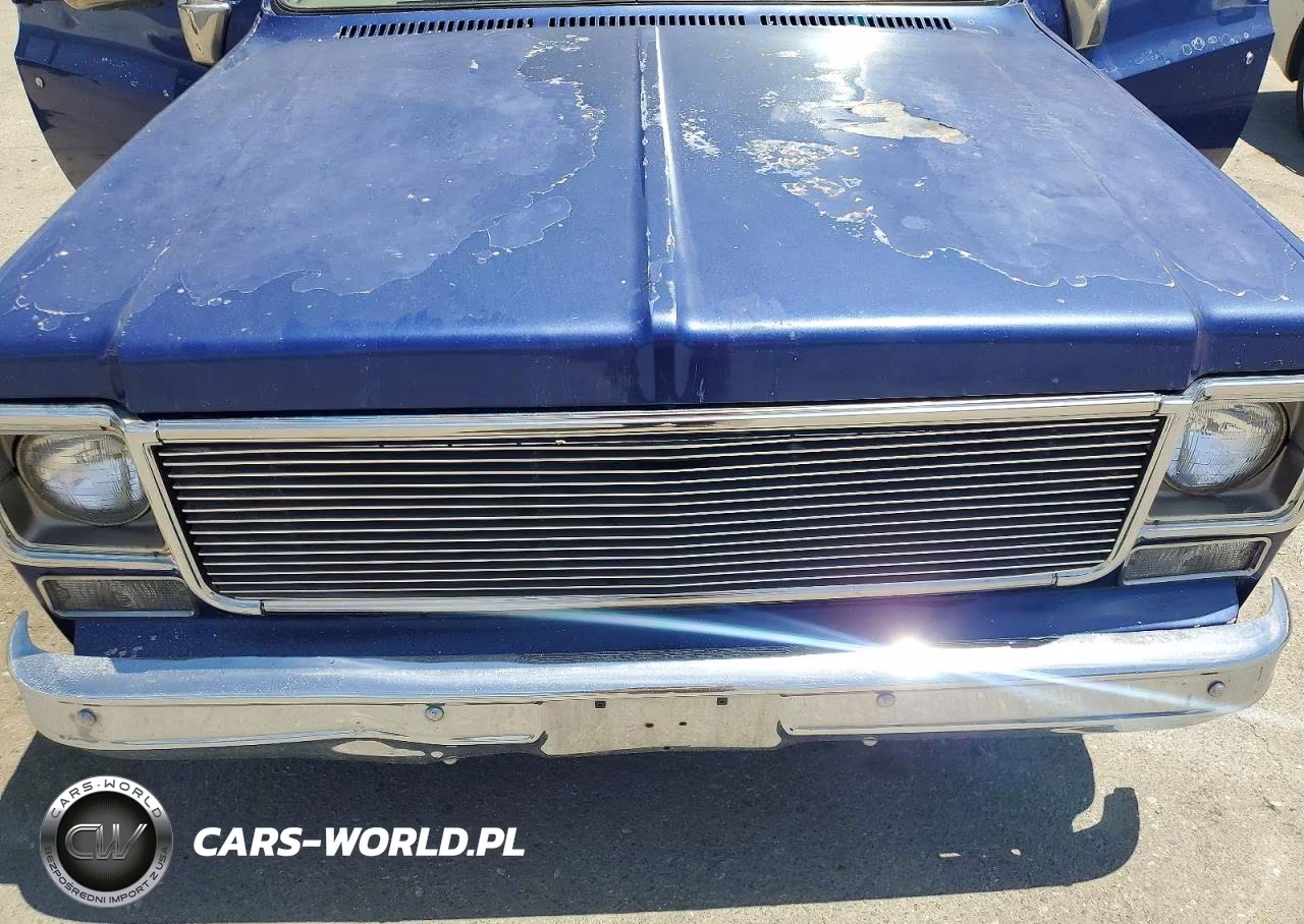 1976 GMC Pick Up VIN:TCS336Z507088 - 11