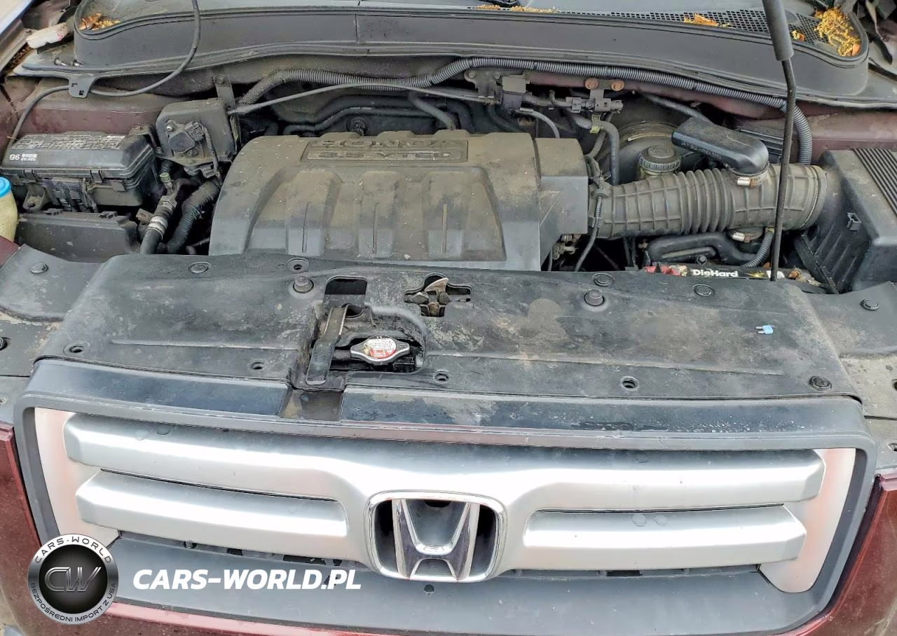 2007 Honda Pilot Ex VIN:5FNYF18497B028258 - 12