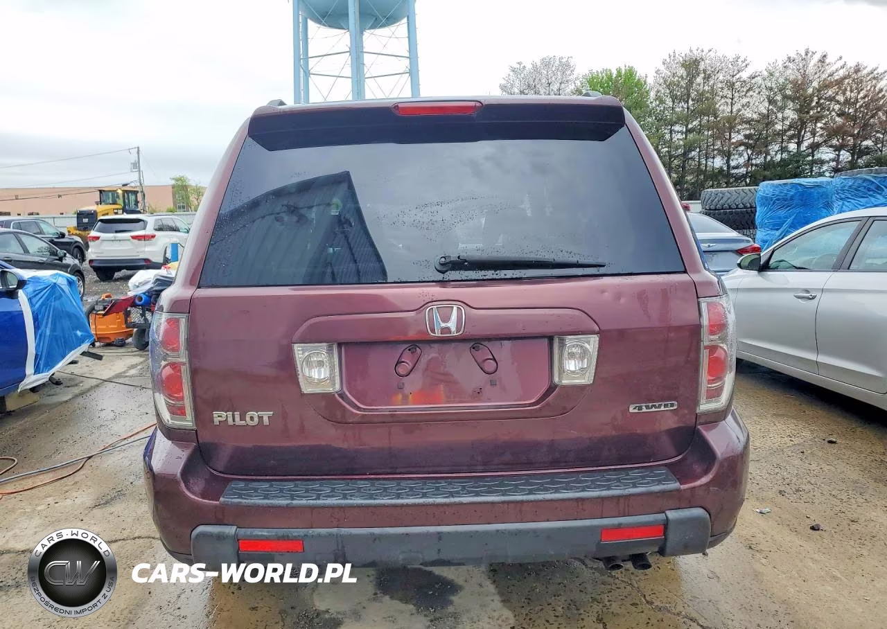2007 Honda Pilot Ex VIN:5FNYF18497B028258 - 6