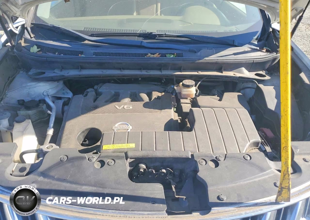 2010 Nissan Murano S VIN:JN8AZ1MW3AW133000 - 11