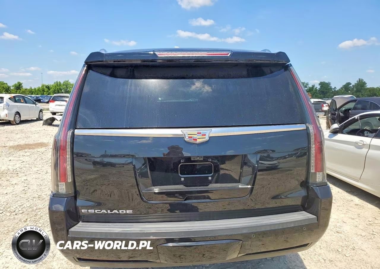 2017 Cadillac Escalade Luxury VIN:1GYS3BKJ9HR132595 - 6