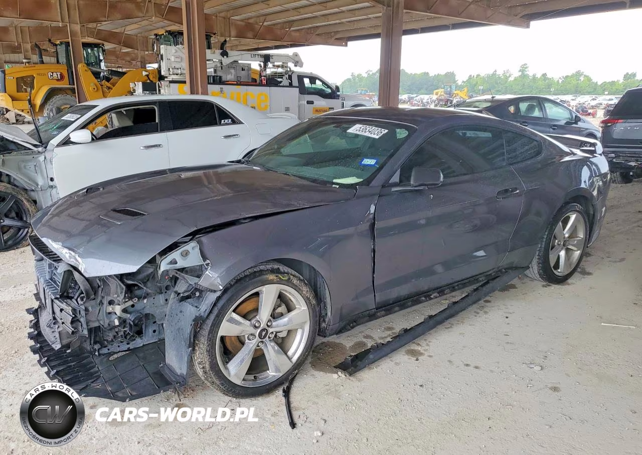 2019 Ford Mustang