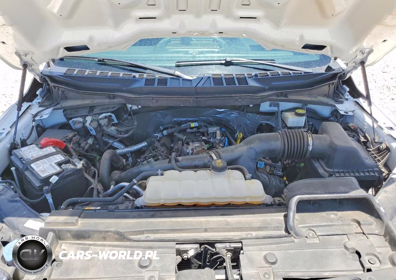 2023 Ford F150 VIN:1FTEW1EP2PKF42912 - 11