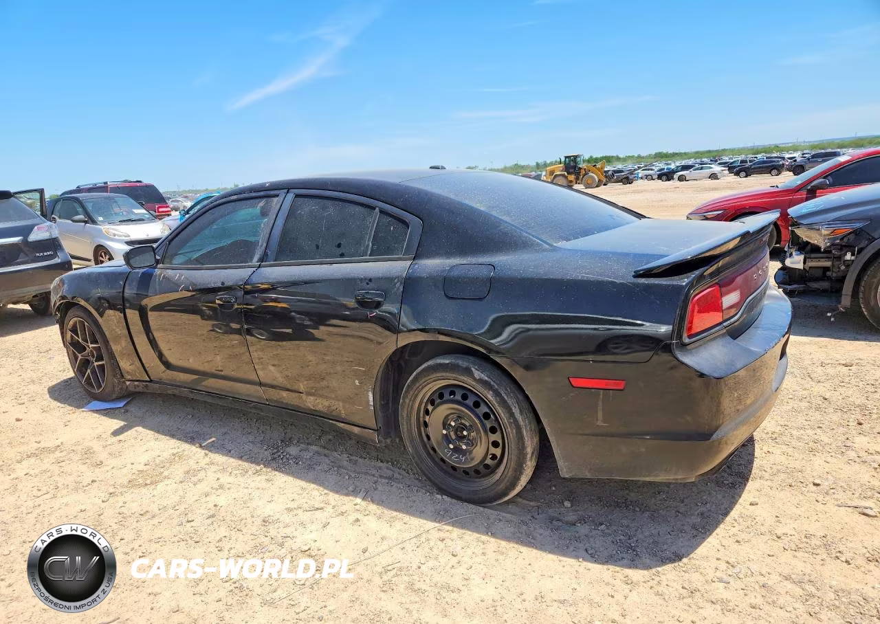 2013 Dodge Charger R VIN:2C3CDXCT9DH696945 - 2