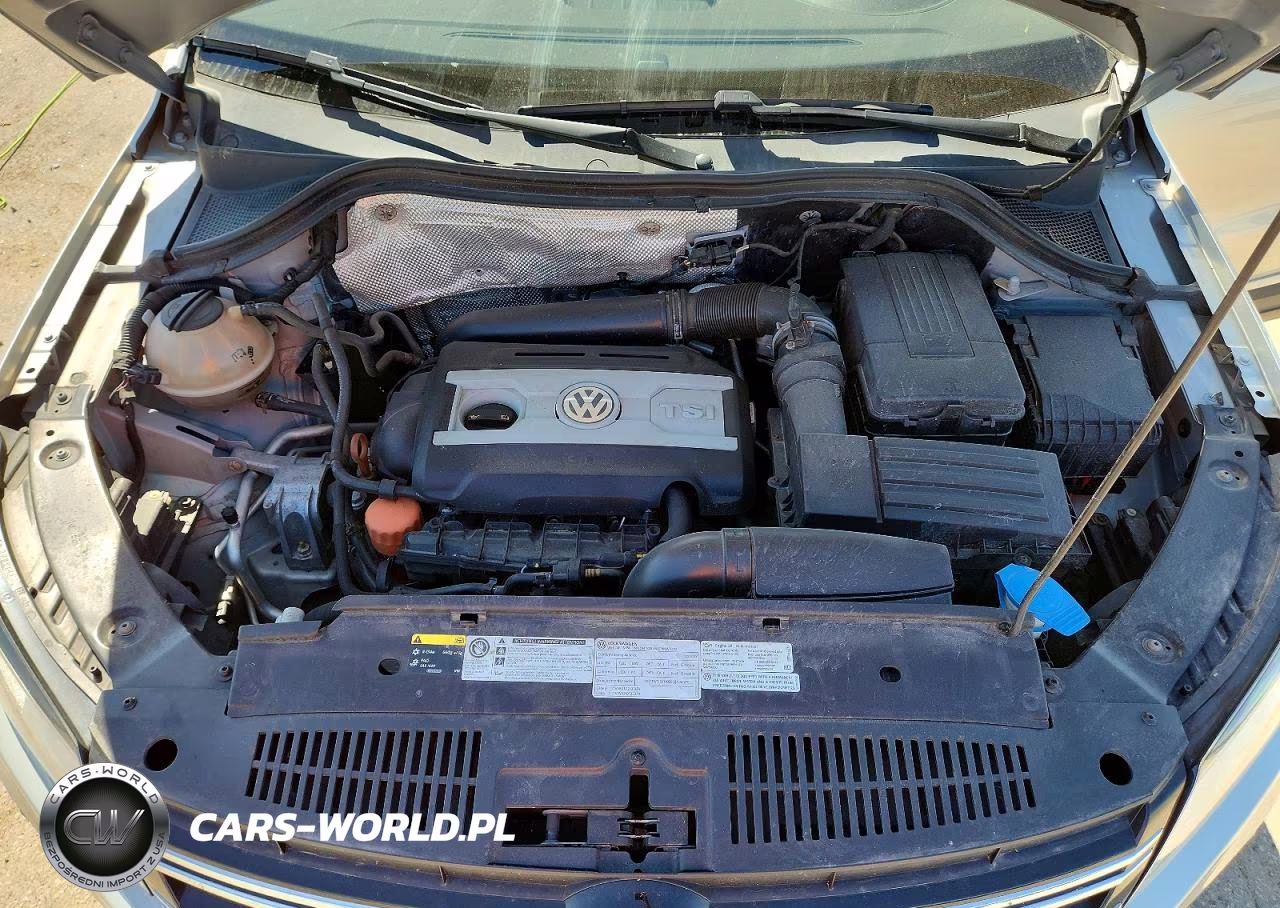 2013 Volkswagen Tiguan S VIN:WVGBV3AX9DW059389 - 12