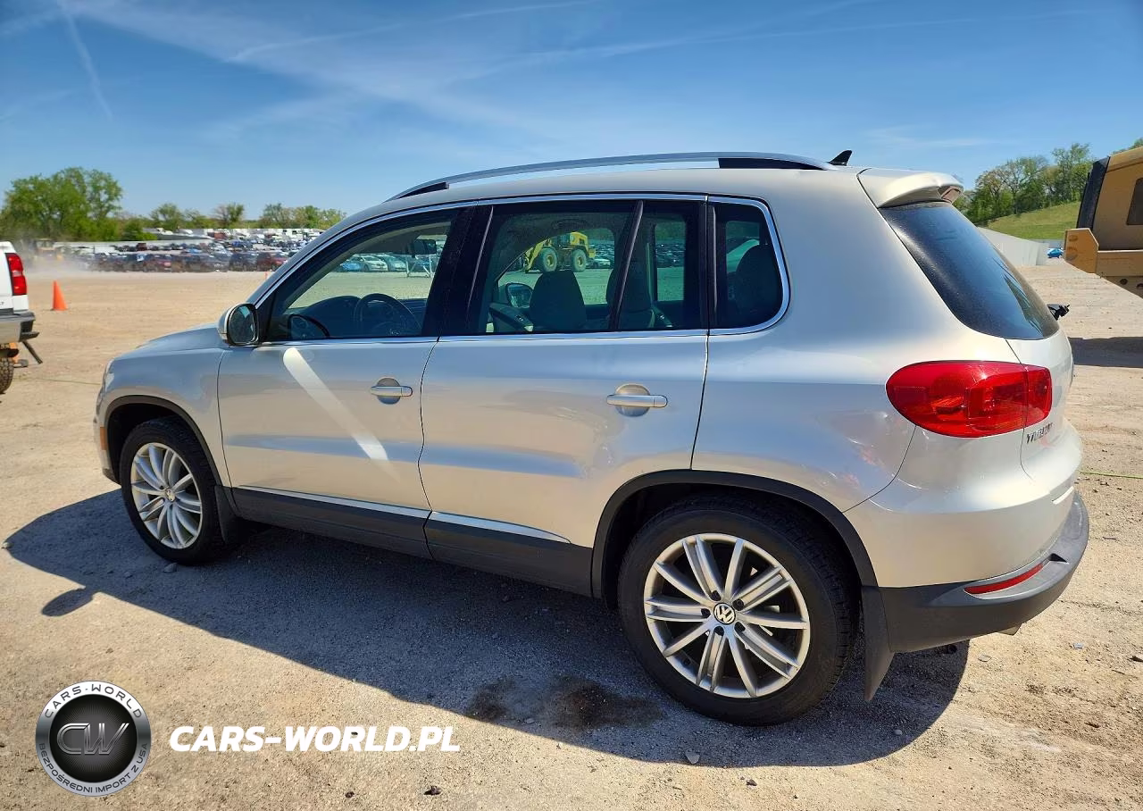 2013 Volkswagen Tiguan S VIN:WVGBV3AX9DW059389 - 2