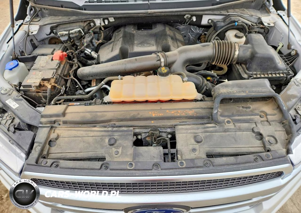 2019 Ford F150 Supercrew VIN:1FTEW1E43KFA61624 - 11