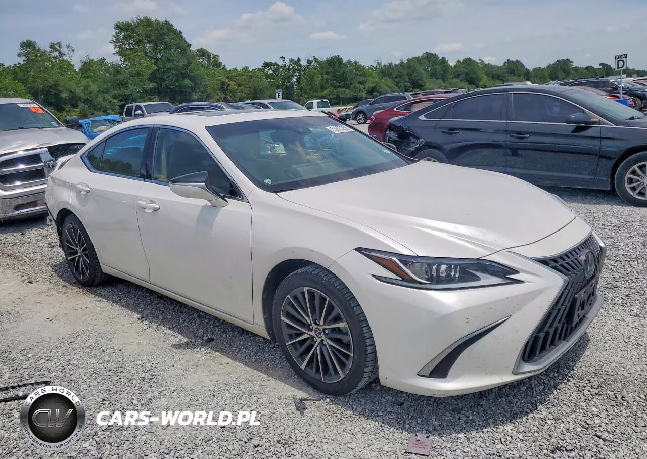2023 Lexus Es 300H Base VIN:58ADA1C11PU029331 - 4