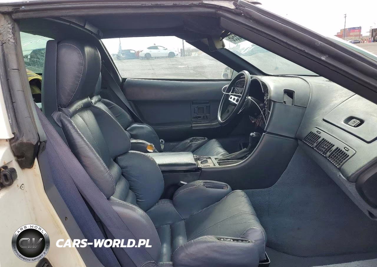1990 Chevrolet Corvette VIN:1G1YY2380L5119675 - 10