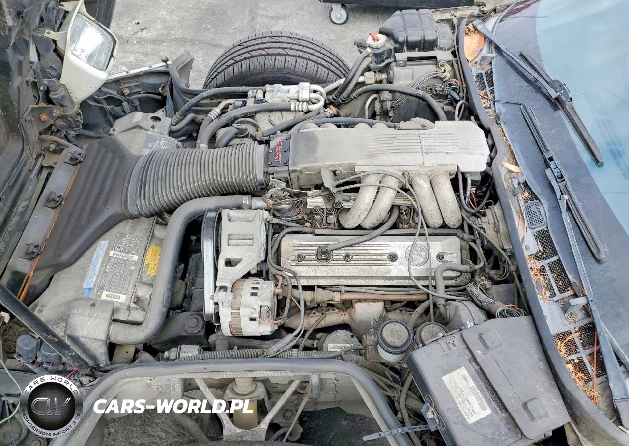 1990 Chevrolet Corvette VIN:1G1YY2380L5119675 - 11