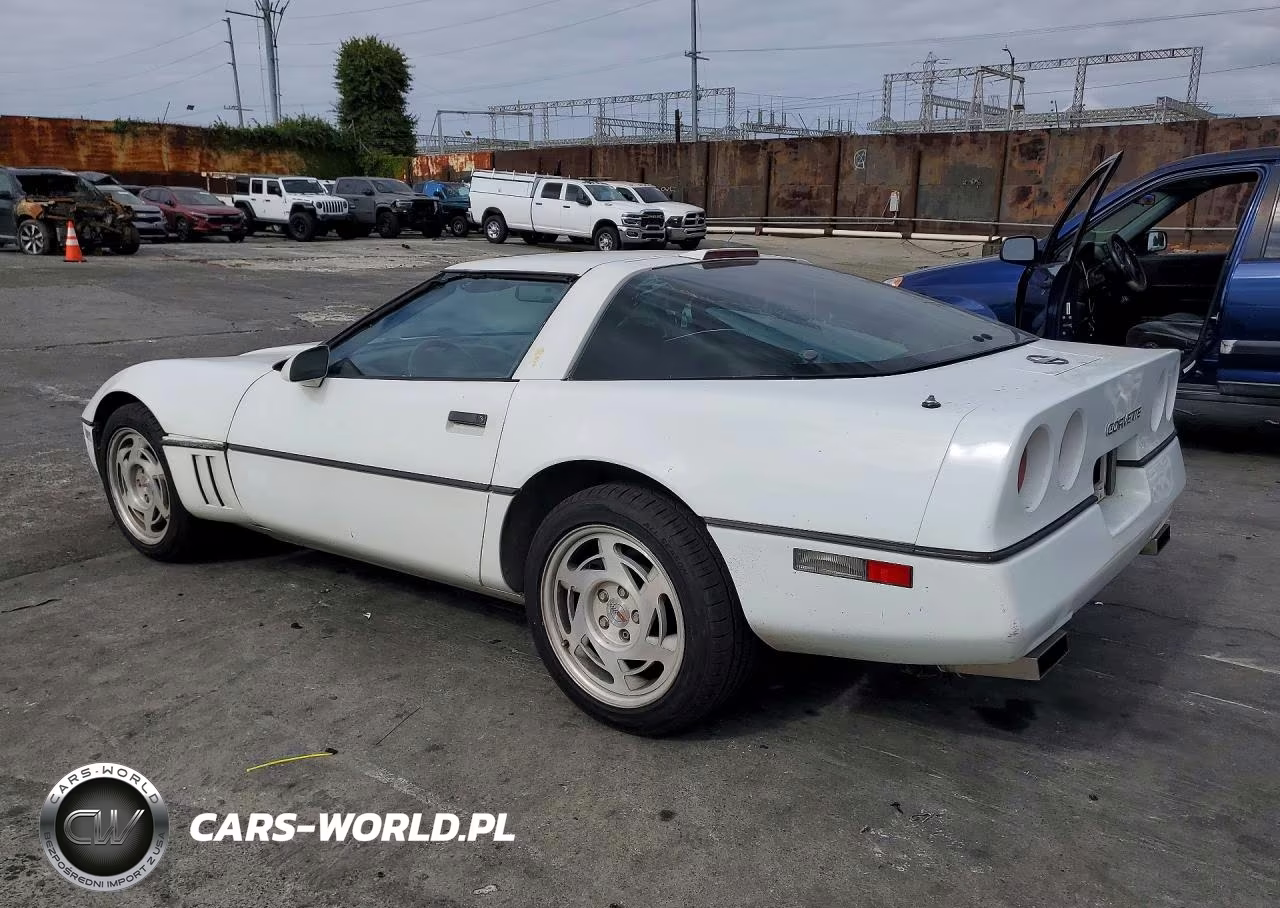 1990 Chevrolet Corvette VIN:1G1YY2380L5119675 - 2