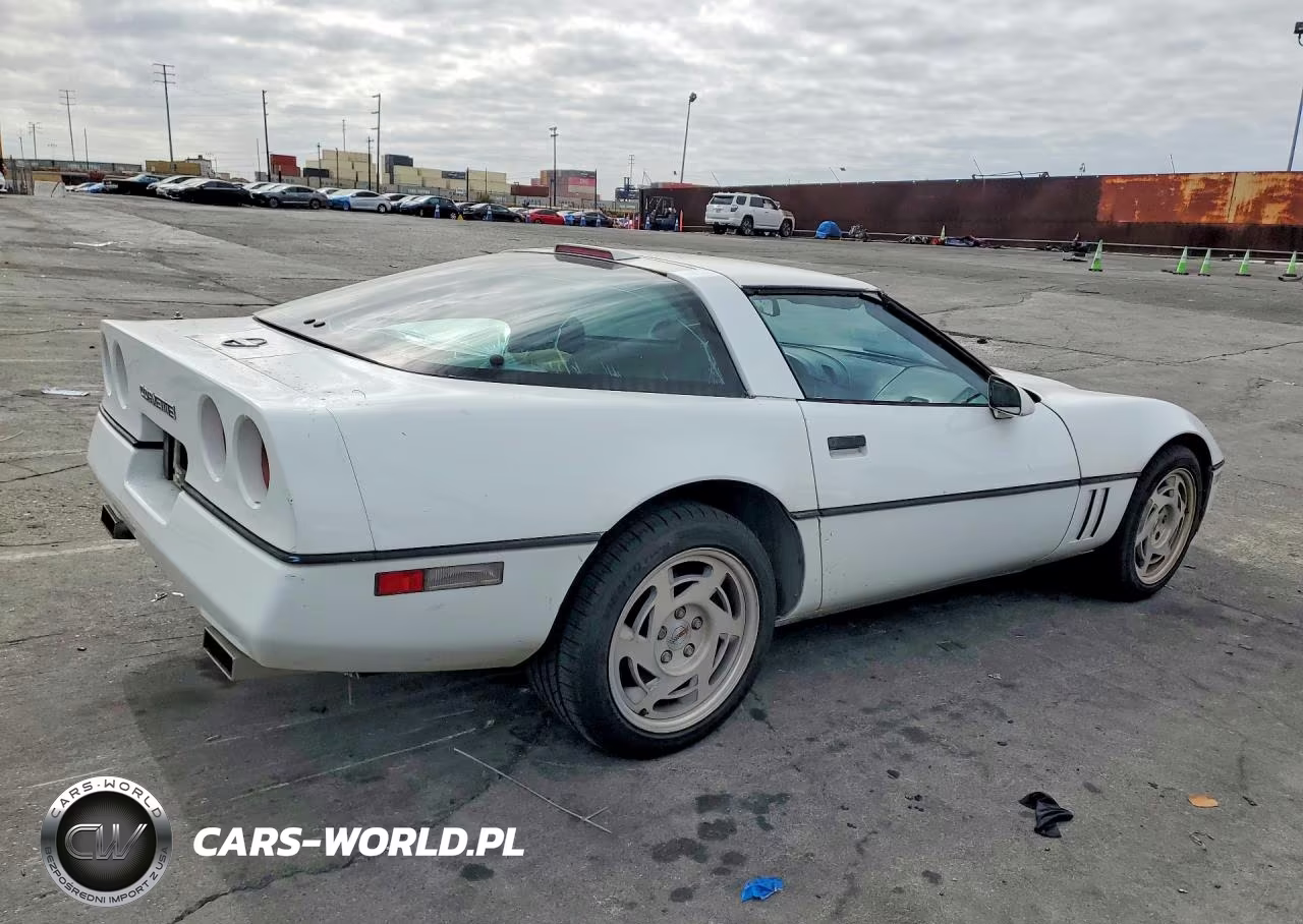 1990 Chevrolet Corvette VIN:1G1YY2380L5119675 - 3
