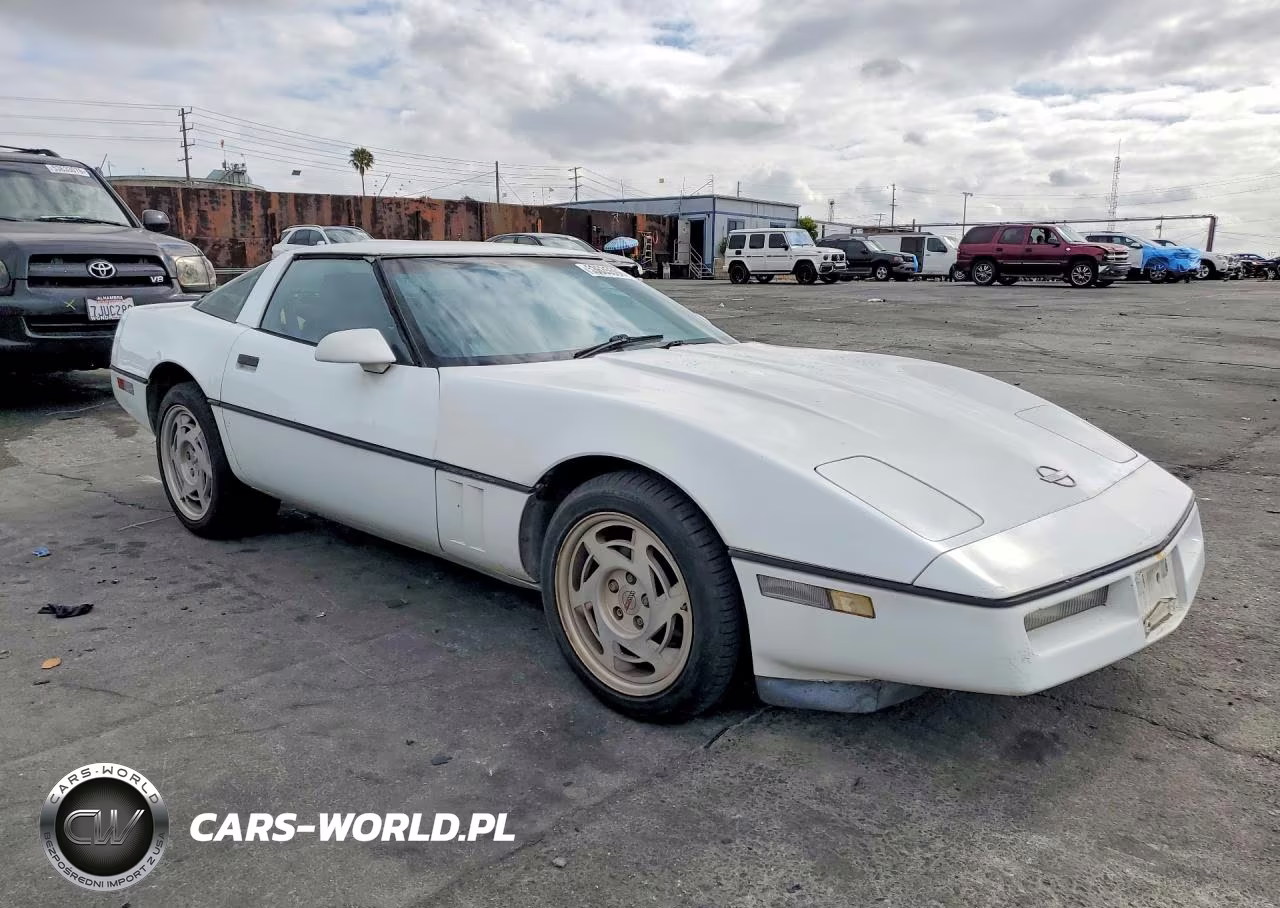 1990 Chevrolet Corvette VIN:1G1YY2380L5119675 - 4