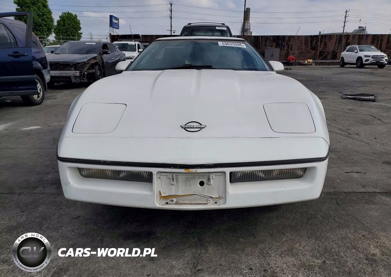 1990 Chevrolet Corvette VIN:1G1YY2380L5119675 - 5
