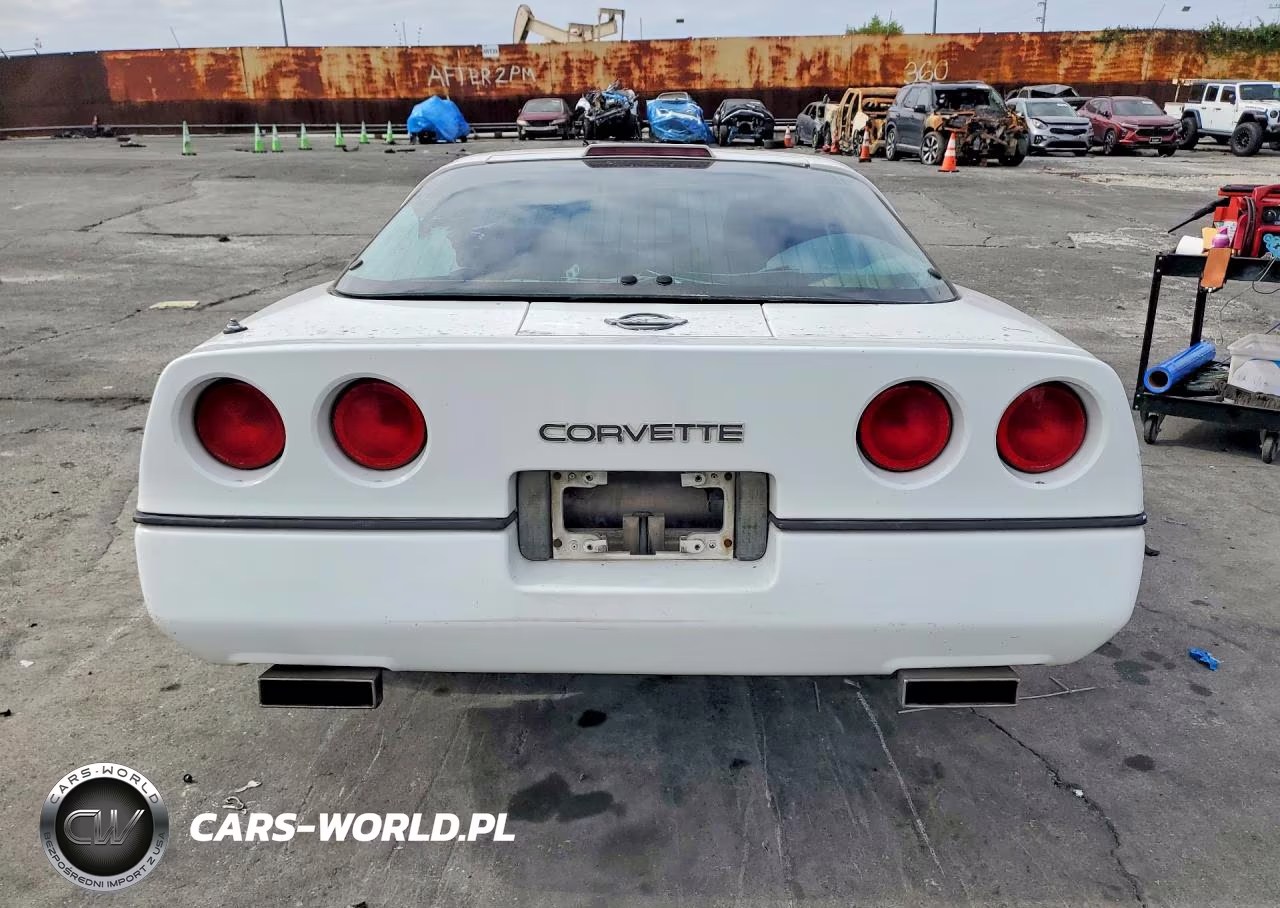 1990 Chevrolet Corvette VIN:1G1YY2380L5119675 - 6