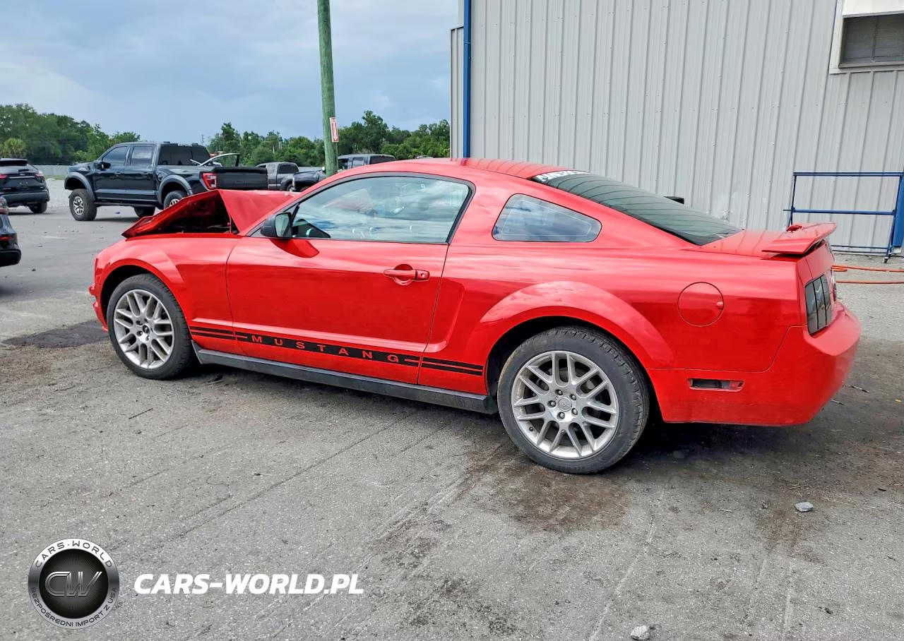 2005 Ford Mustang VIN:1ZVFT80NX55195382 - 2