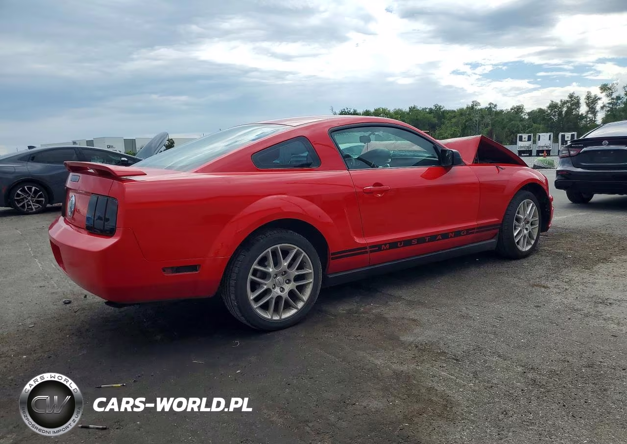 2005 Ford Mustang VIN:1ZVFT80NX55195382 - 3