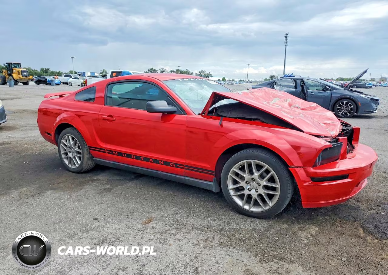 2005 Ford Mustang VIN:1ZVFT80NX55195382 - 4