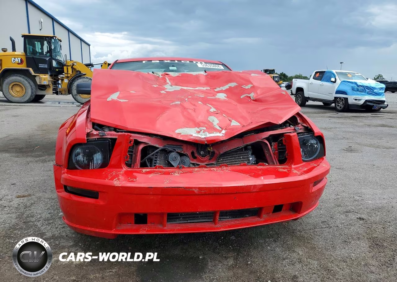 2005 Ford Mustang VIN:1ZVFT80NX55195382 - 5