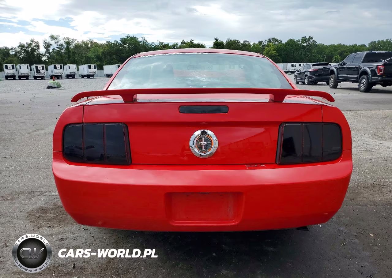 2005 Ford Mustang VIN:1ZVFT80NX55195382 - 6