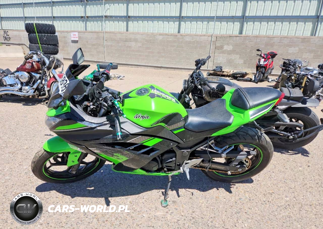 2013 Kawasaki Ex300 B VIN:JKAEX8B18DDA03987 - 3