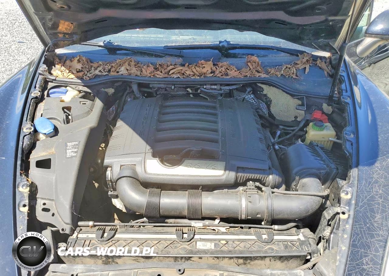 2013 Porsche Cayenne VIN:WP1AA2A26DLA00780 - 12