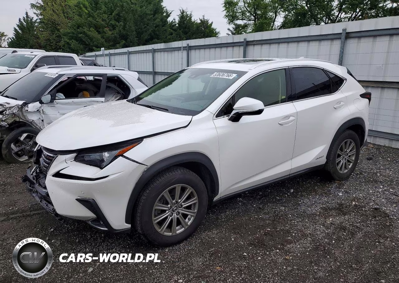 2019 Lexus Nx 300H – zdjęcie 1 z 13