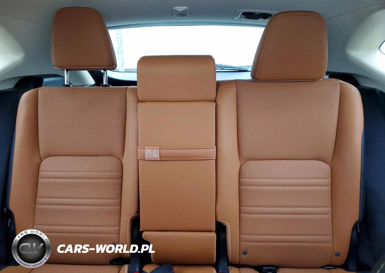 2019 Lexus Nx 300H VIN:JTJBJRBZ8K2111423 - 10