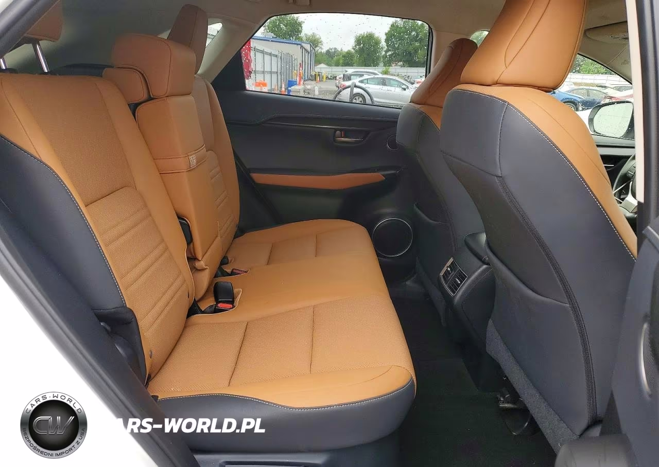 2019 Lexus Nx 300H VIN:JTJBJRBZ8K2111423 - 11