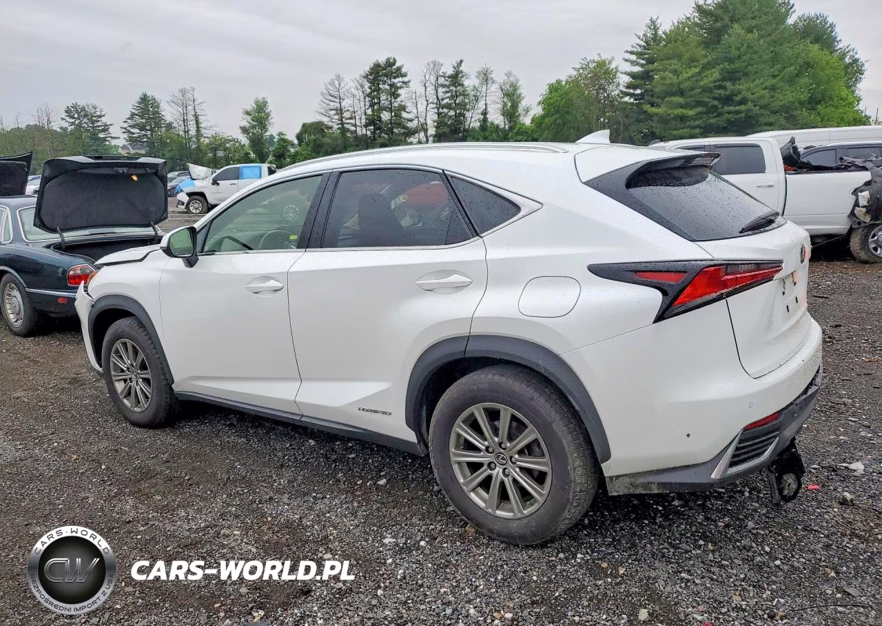 2019 Lexus Nx 300H VIN:JTJBJRBZ8K2111423 - 2