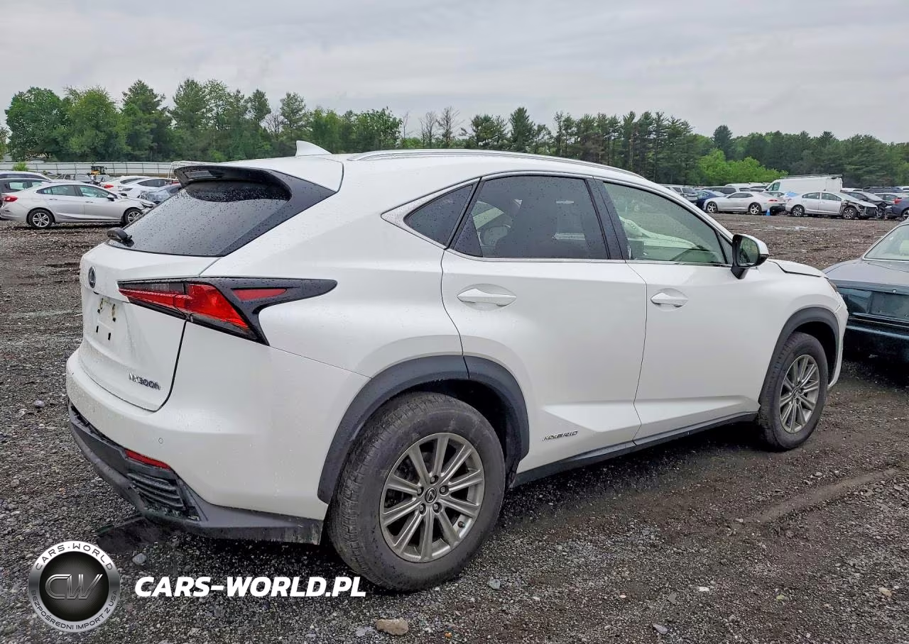 2019 Lexus Nx 300H VIN:JTJBJRBZ8K2111423 - 3