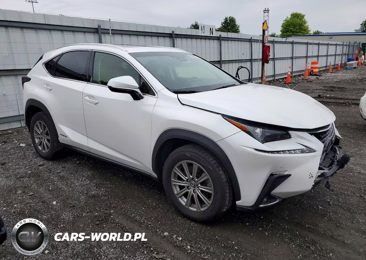 2019 Lexus Nx 300H VIN:JTJBJRBZ8K2111423 - 4