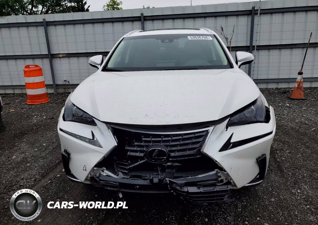 2019 Lexus Nx 300H VIN:JTJBJRBZ8K2111423 - 5
