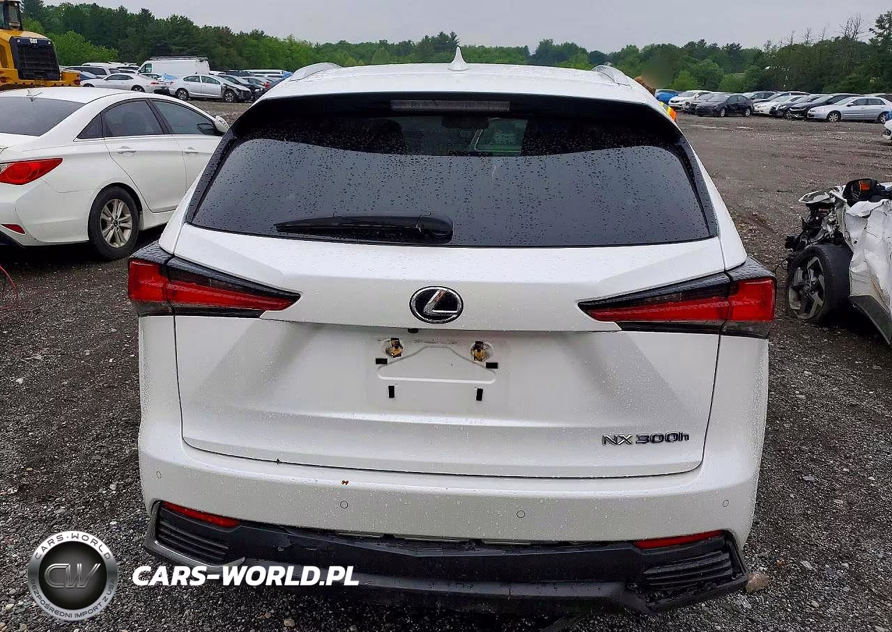 2019 Lexus Nx 300H VIN:JTJBJRBZ8K2111423 - 6